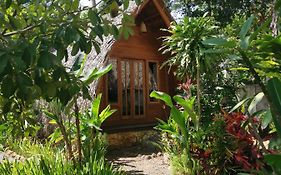 Coconut Tree Cottages